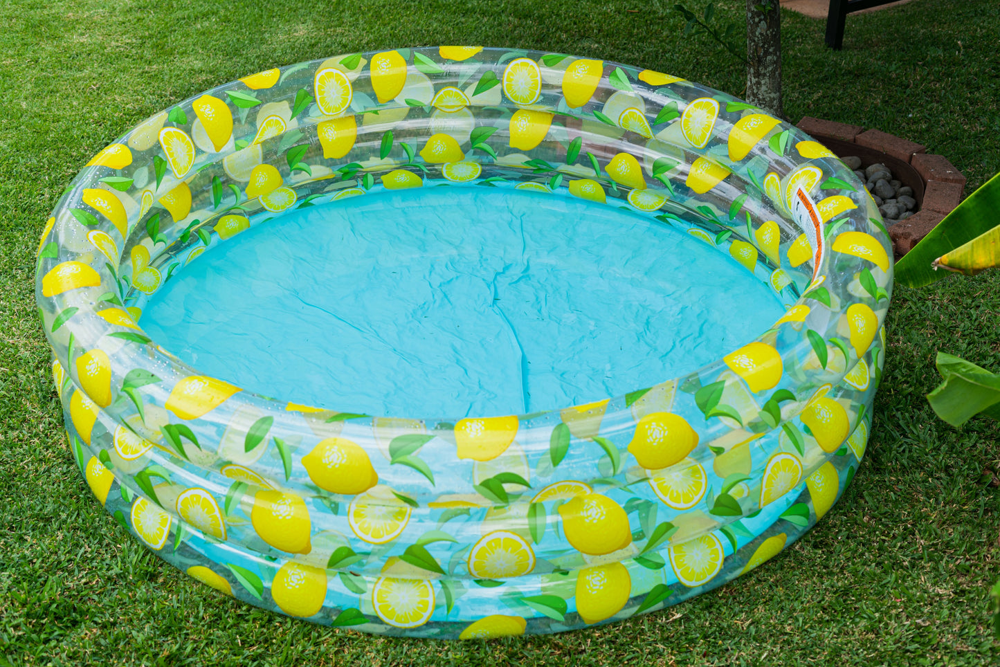 Giant 4-Person Inflatable Sunning Pool - Lemon Print