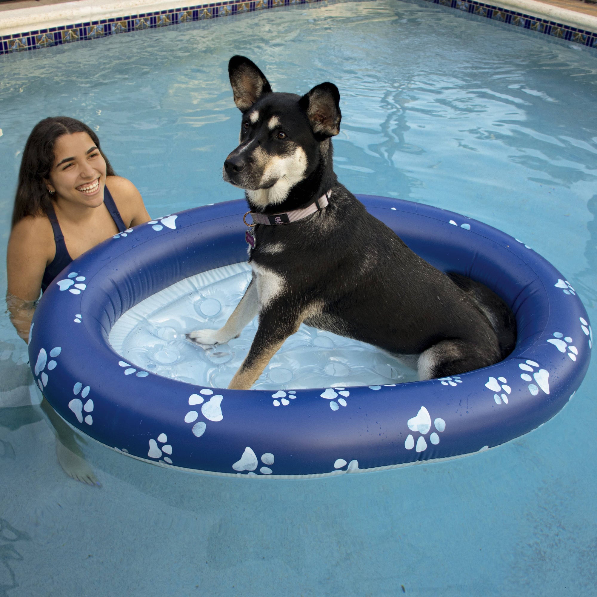 Dog pool accessories online