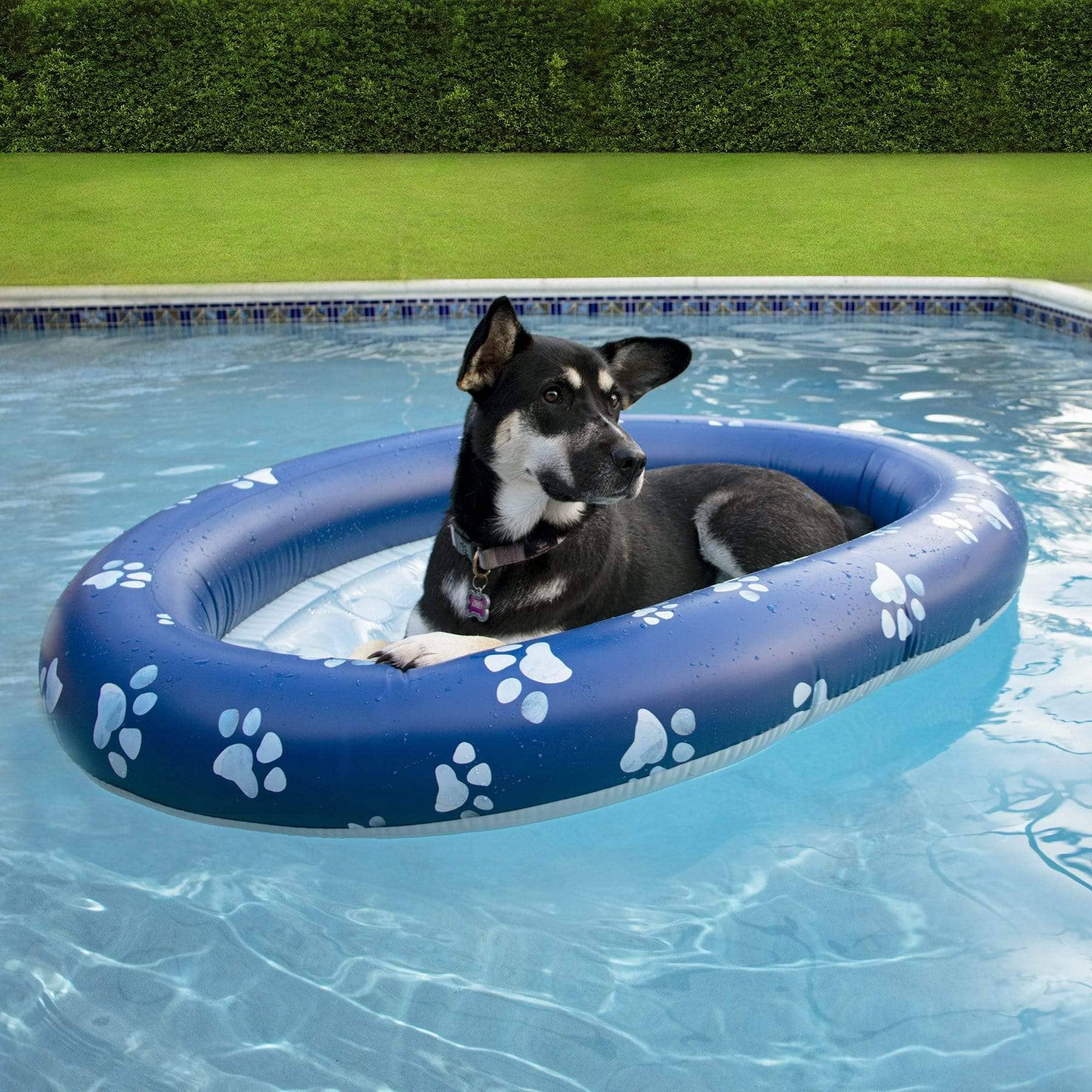 Inflatable Dog Pool Float Large Size