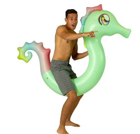 Inflatable Seahorse Ride-On Pool Noodle